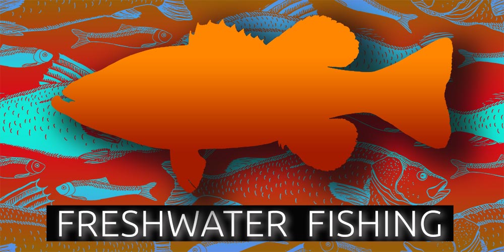 Freshwater Fishing : Aquatic Nutrition, Quality Aquatic Diets and