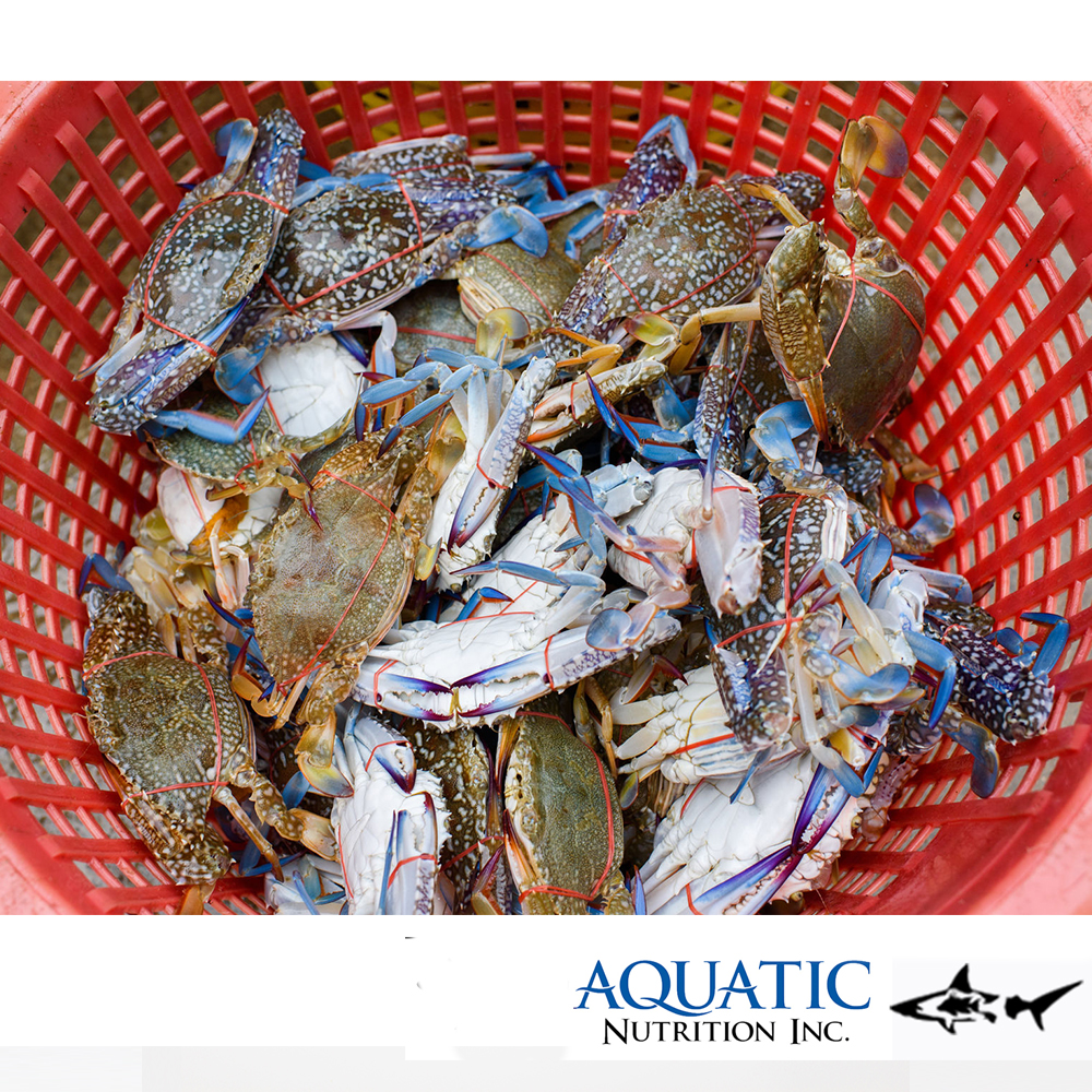 Aquatic Nutrition - Crab Trap Bait
