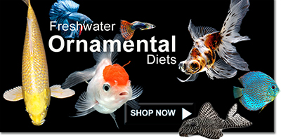 Aquatic Nutrition, Quality Aquatic Diets and Fishing Products by Fish  Experts
